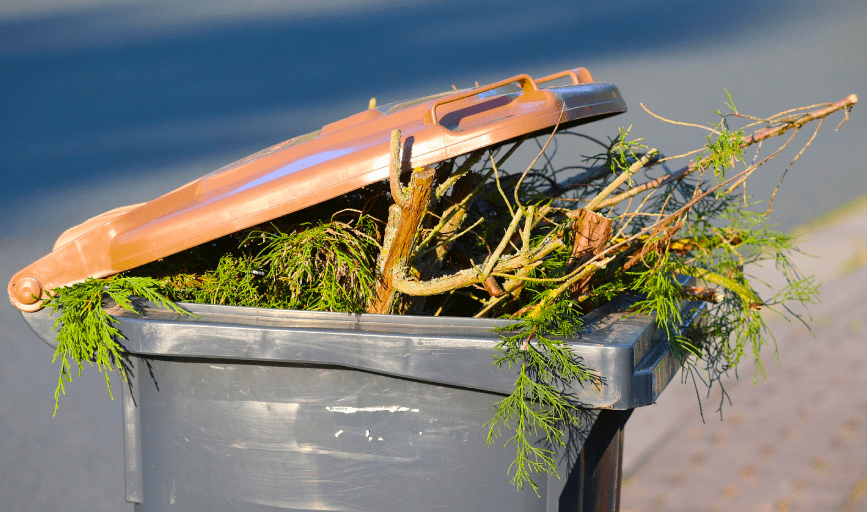 YARD WASTE REMOVAL